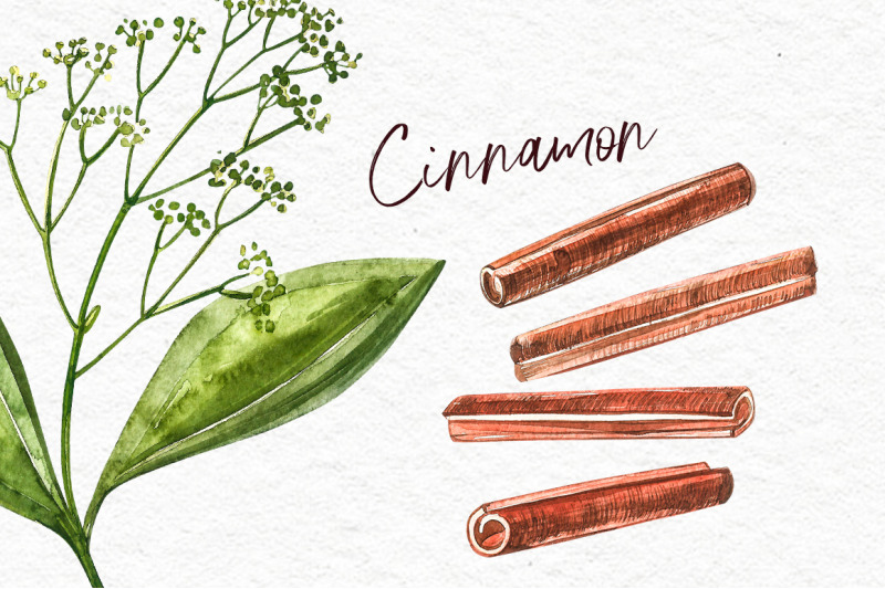 star-anise-cinnamon-cardamon
