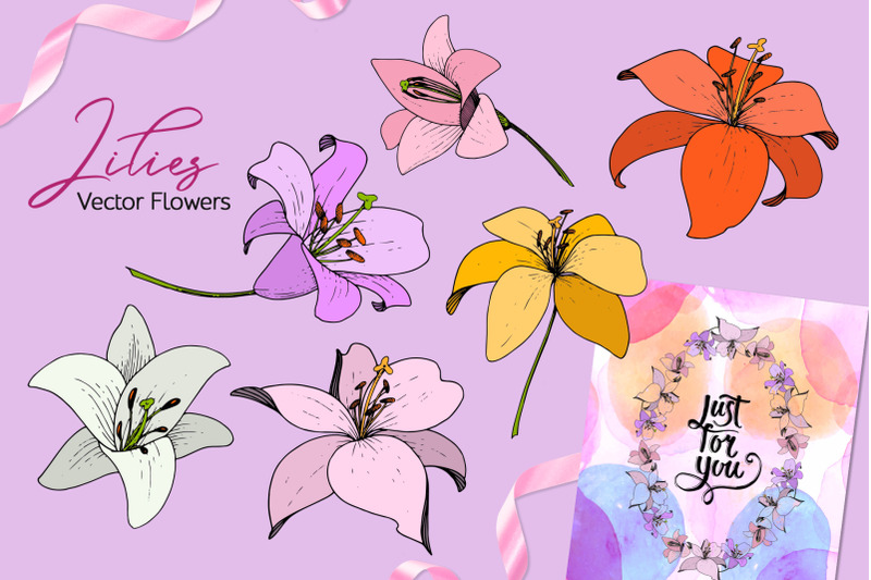 lilies-vector-collection