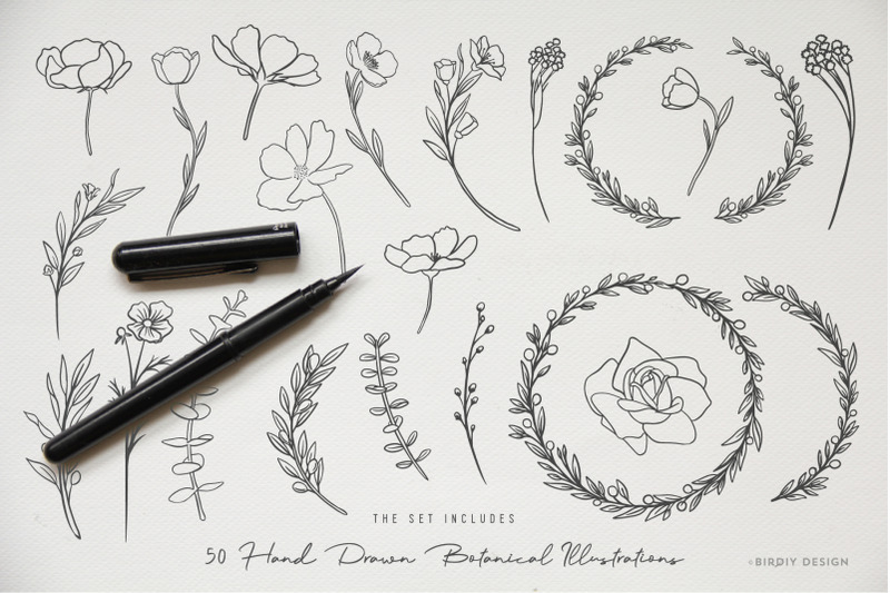 botanical-illustrations-amp-logo-kit