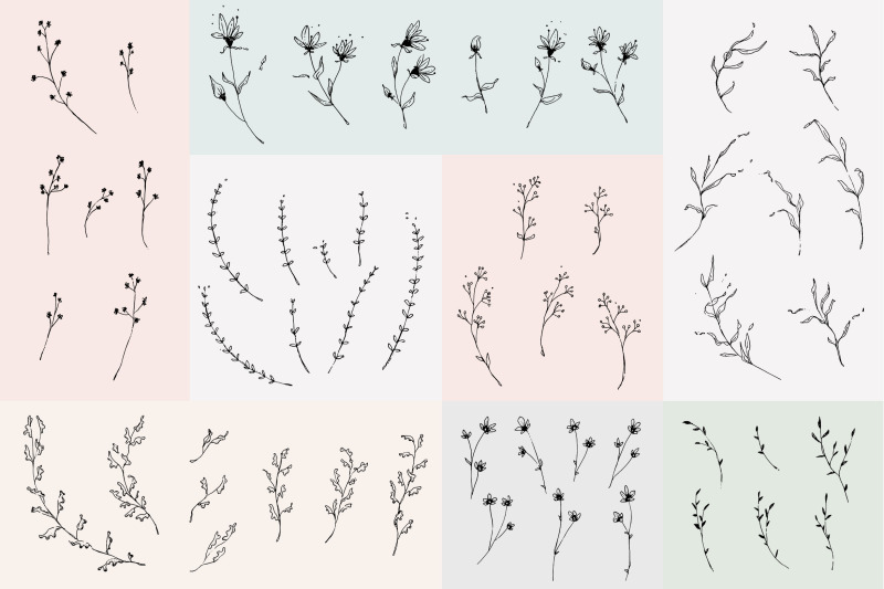 floral-outline-illustration-amp-logo-pack