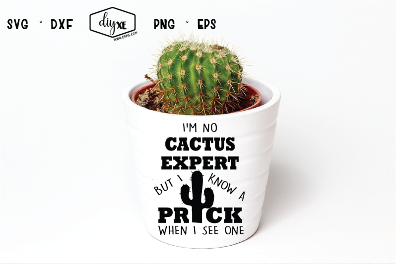 i-039-m-no-cactus-expert