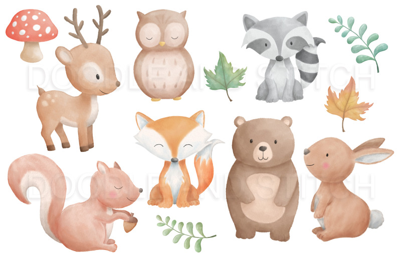 woodland-animal-watercolor-illustrations