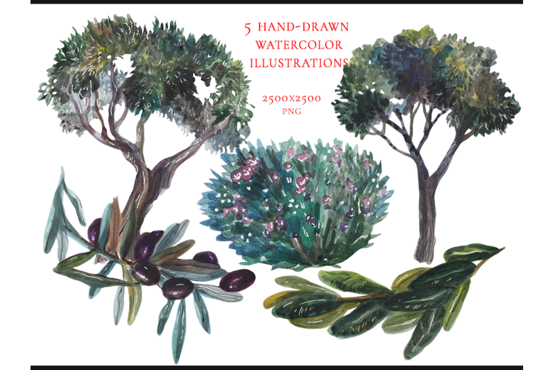 5-hand-drawn-watercolor-plants