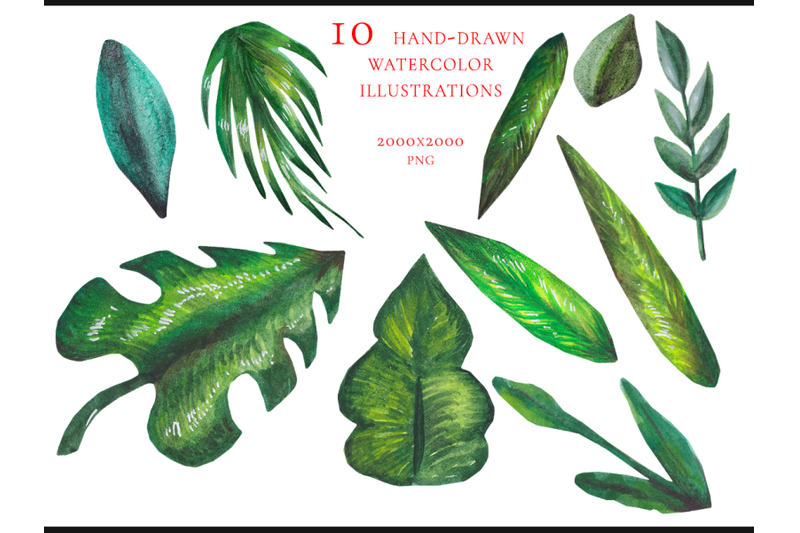 10-watercolor-tropic-leaves
