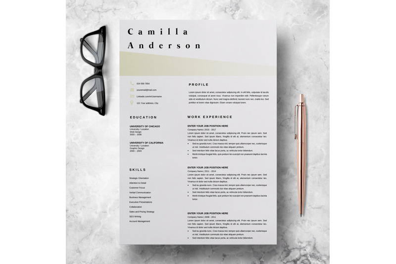 resume-template-microsoft-word-professional-cv-layout-camilla