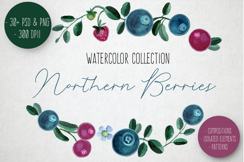 nothern-berries-watercolor-clipart-set