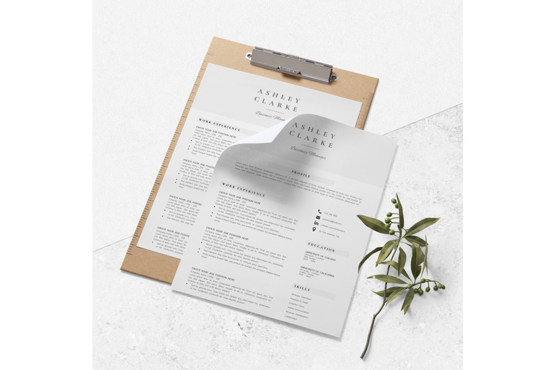 Resume Template 5 Pages Professional Resume Design Ashley By Lucatheme Thehungryjpeg Com