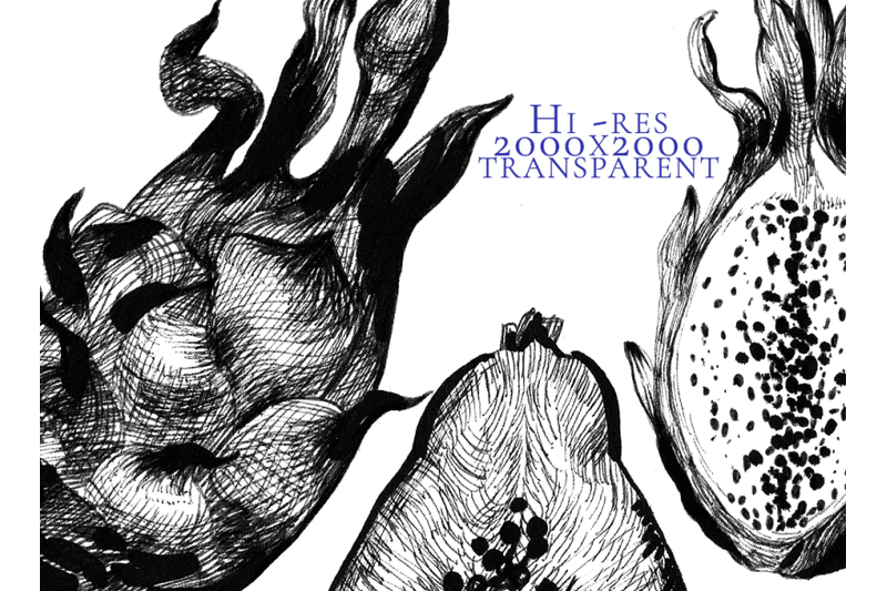10-hand-drawn-ink-fruits