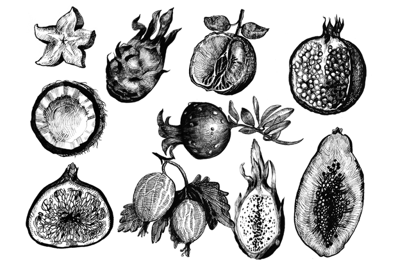 10-hand-drawn-ink-fruits