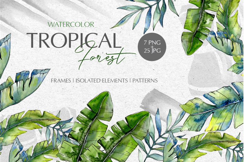 tropical-forest-watercolor-png