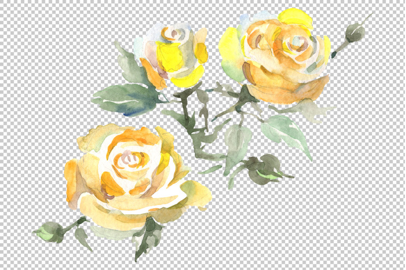 bouquet-with-roses-romances-watercolor-png