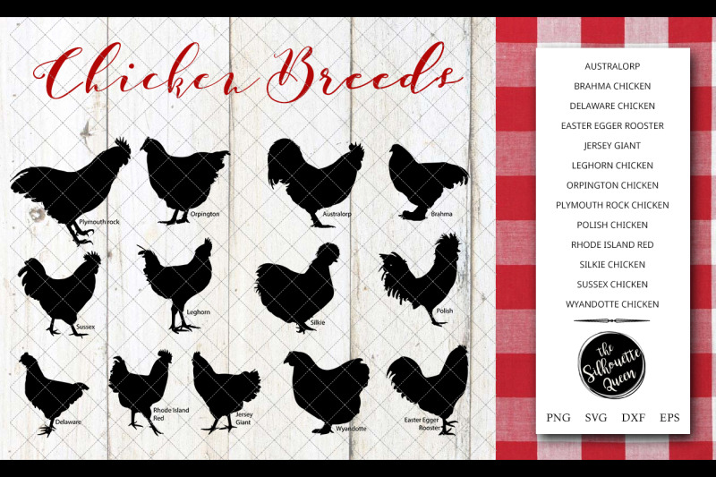 Chicken Breeds Silhouette Vector svg file, chicken svg cut ...