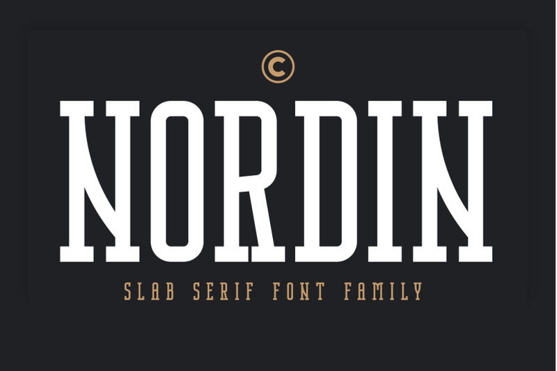 Nordin Slab Condensed Slab Serif By Craft Supply Co Thehungryjpeg Com