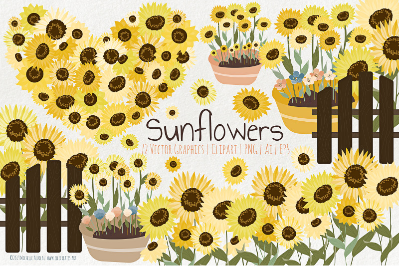 sunflowers-floral-graphics-pack