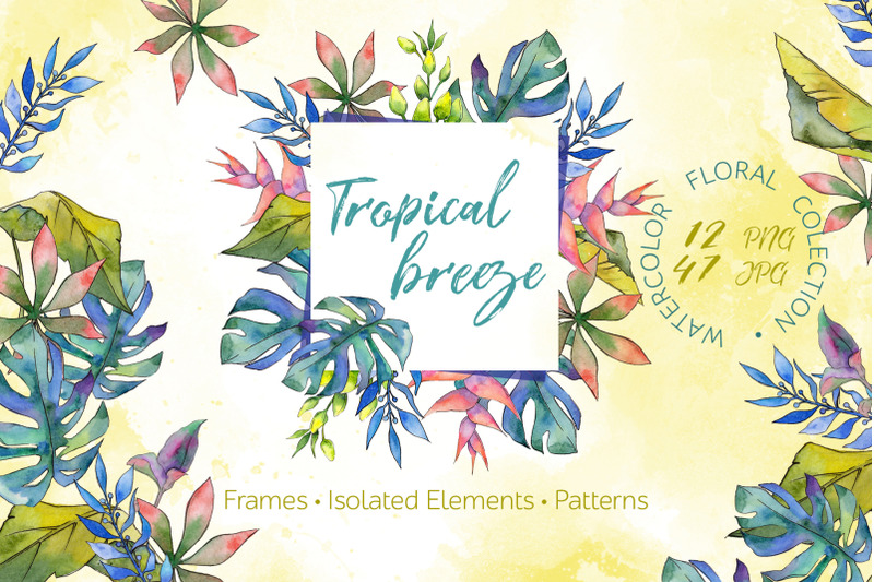 tropical-breeze-watercolor-png