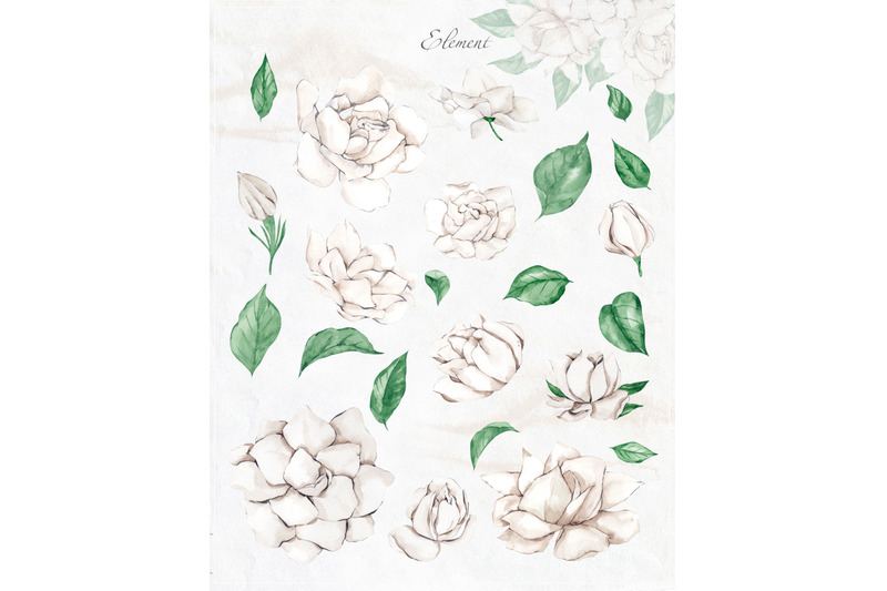 garden-of-gardenia-watercolor-delicate-flowers