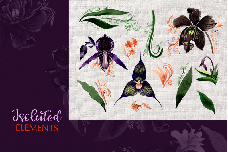 orchid-black-watercolor-png