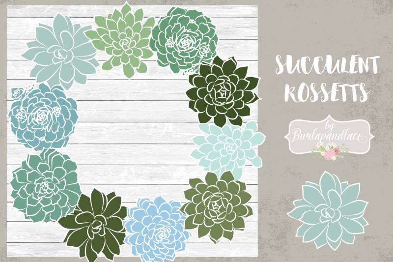 vector-succulent-rosettes