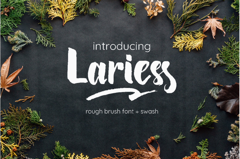 lariess-brush-font-fwith-swash