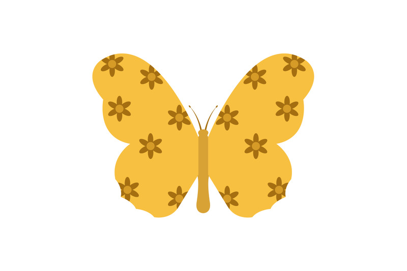 butterfly-icon