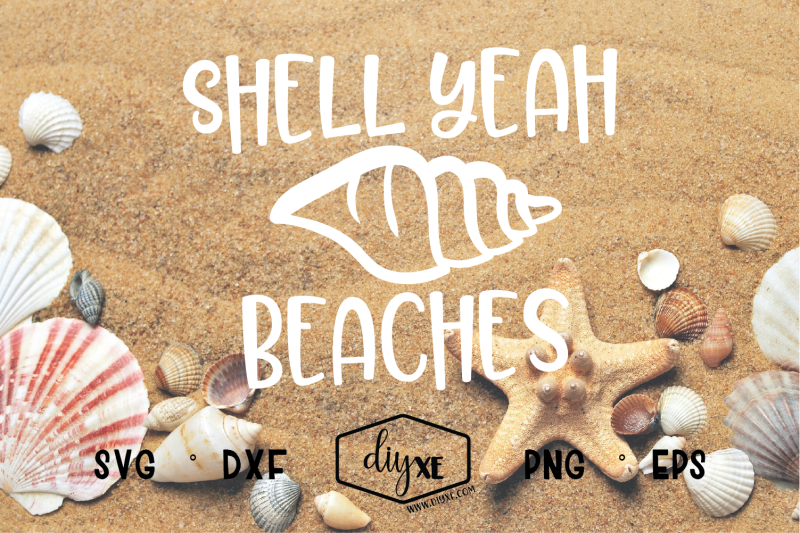 shell-yeah-beaches