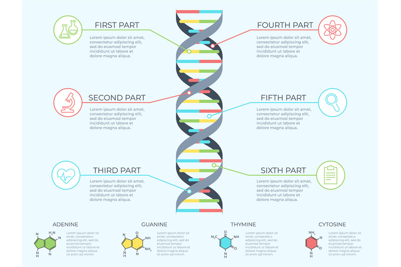 dna-infographic-genetic-spiral-genomic-model-molecule-diagram-and-ad