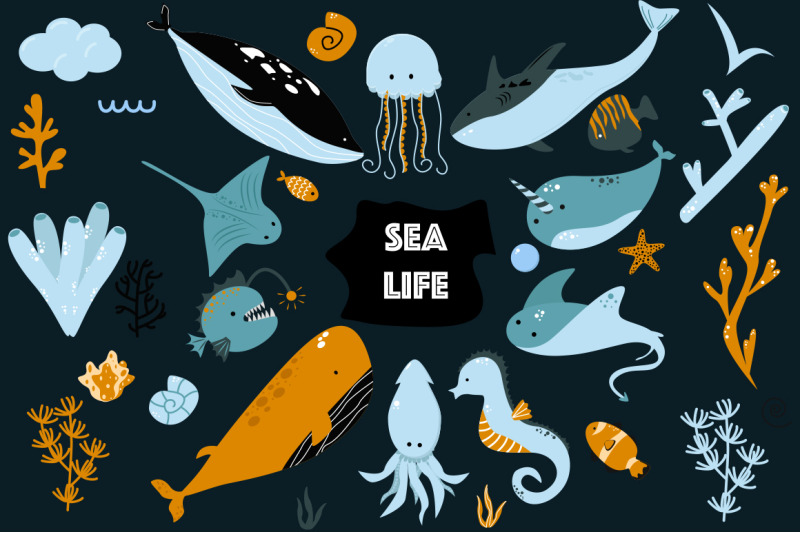 sea-life