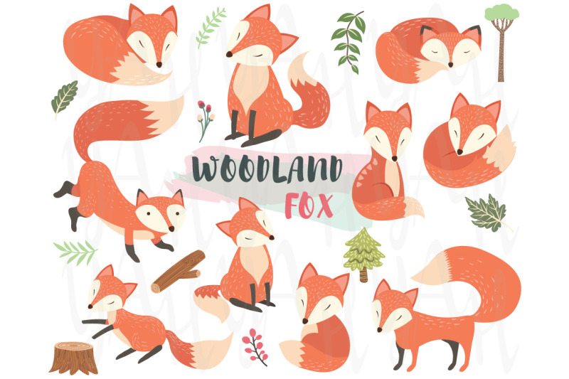 woodland-animal-fox-elements