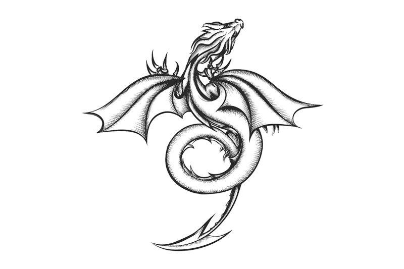Dragon Drawn in Engraving Style isolated on white By Olena1983 ...