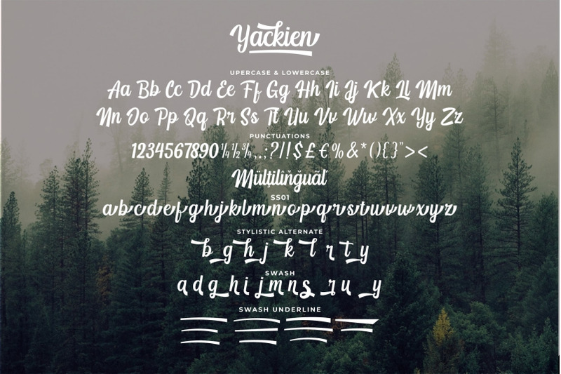 yackien-logo-font