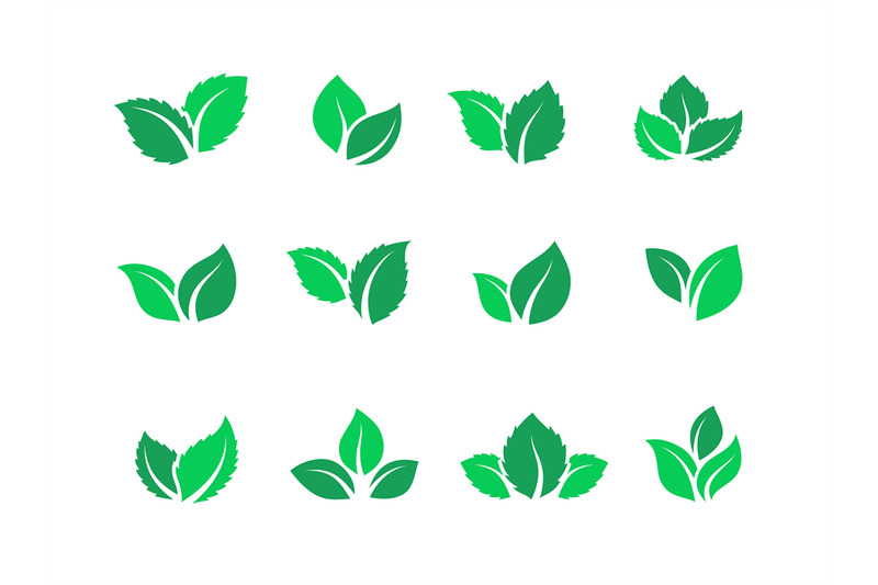 flat-leaves-set-vegan-green-food-logos-farm-plant-eco-energy-simple