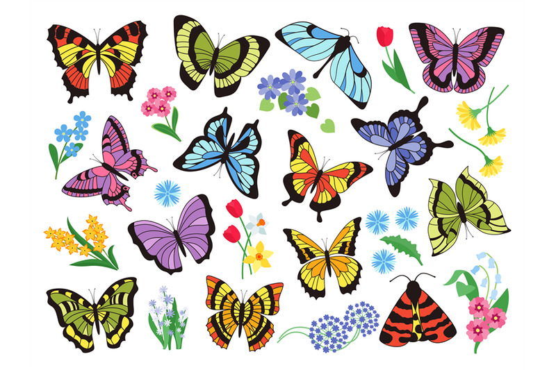 colored-butterflies-hand-drawn-simple-collection-of-butterflies-and-f