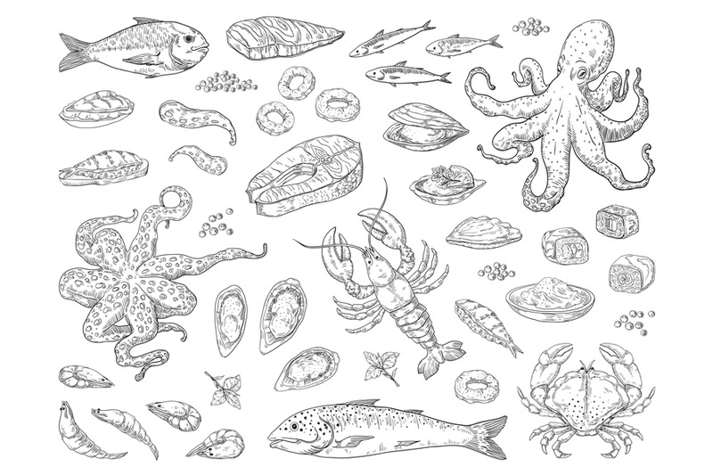 hand-drawn-seafood-octopus-squid-crab-oyster-and-marine-fish-sketch-d