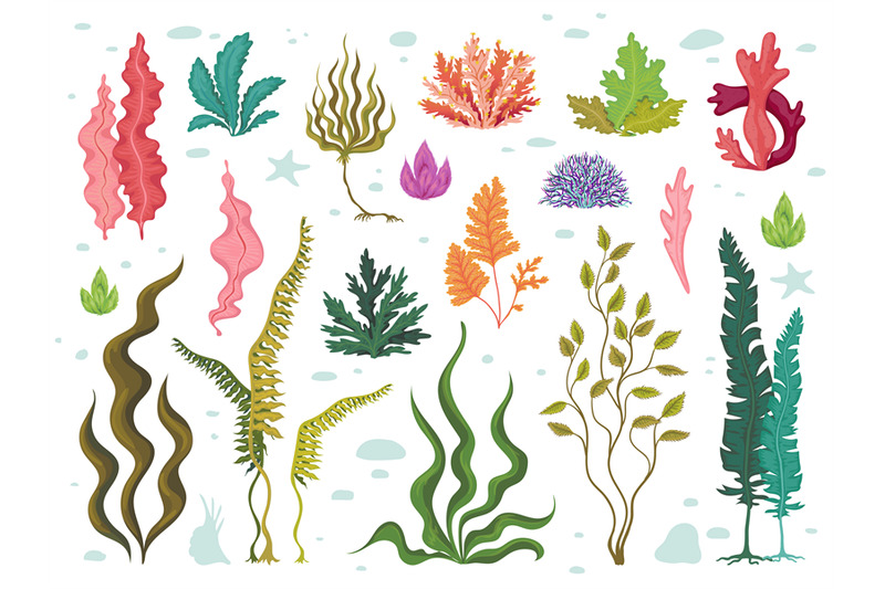 seaweeds-sea-underwater-plants-ocean-coral-reef-and-aquatic-kelp-ha