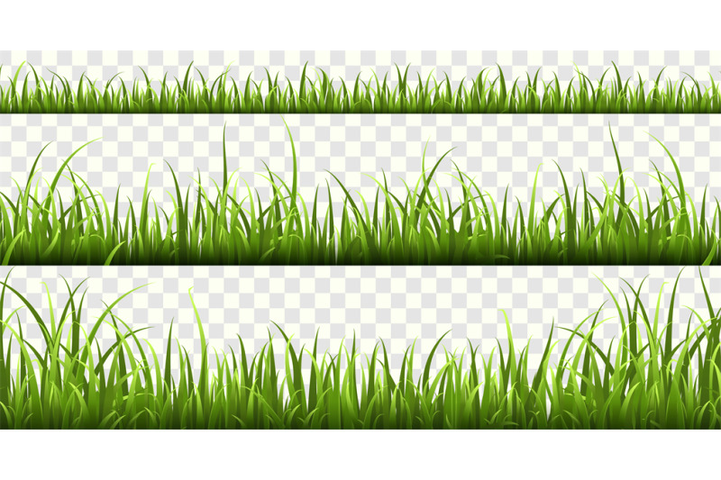 green-grass-borders-summer-meadow-green-panorama-nature-herbs-spring