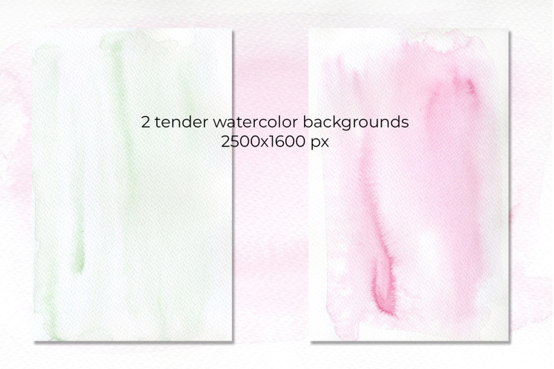 tender-roses-watercolor-set