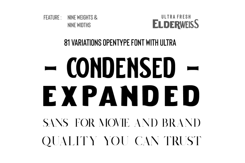 Elderweiss An Experimental Sans Serif By Guiltype Studio Thehungryjpeg Com
