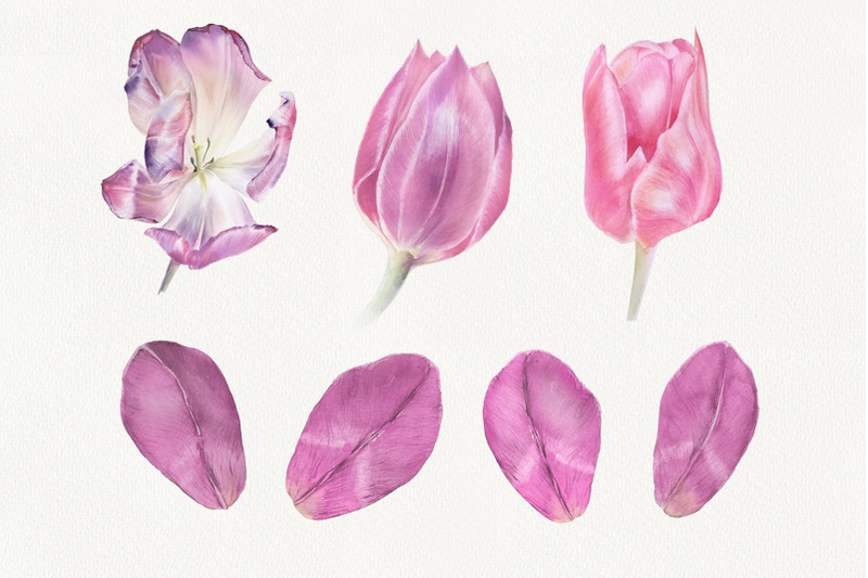 pink-and-purple-watercolor-tulips
