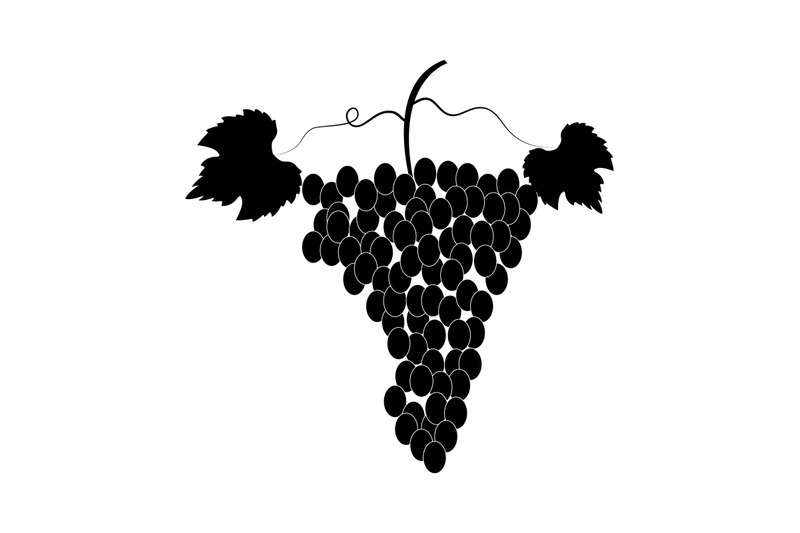 grape-icon