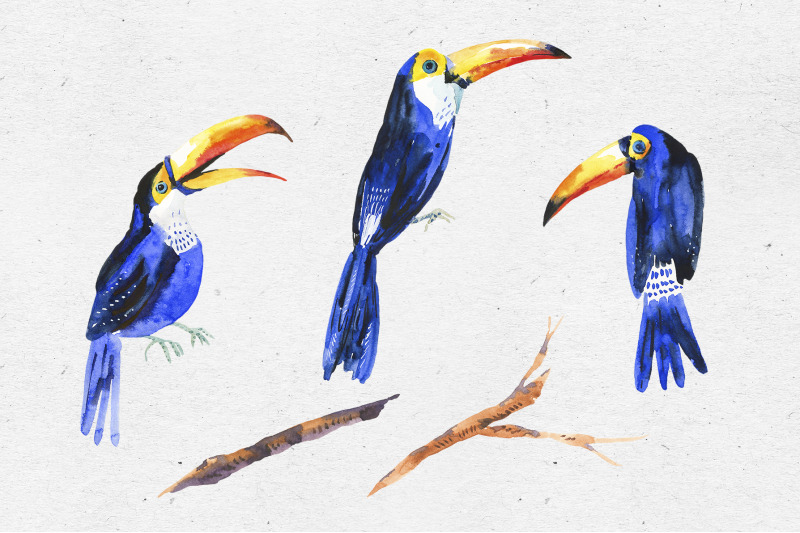 watercolor-summer-png-toucan-clipart