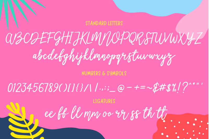 littlemissy-a-modern-script-font
