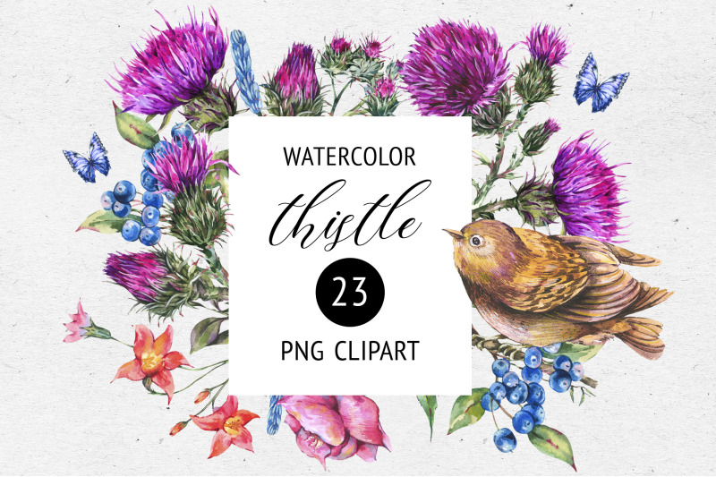 watercolor-thistle-purple-summer