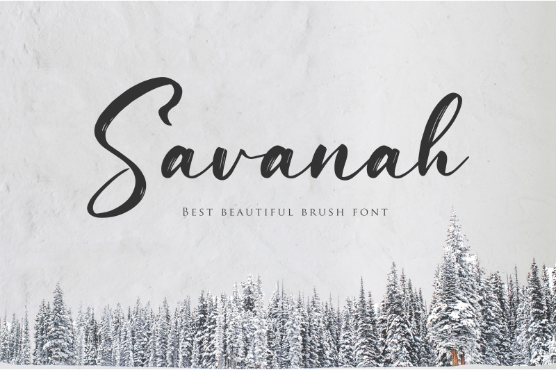 Savanah A Brush Script Font By Prototype Studio Thehungryjpeg Com