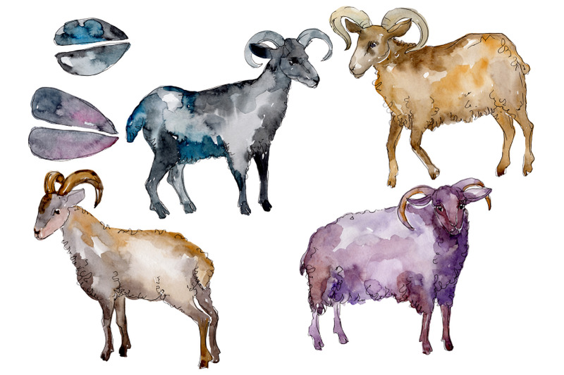 farm-animals-ram-watercolor-png