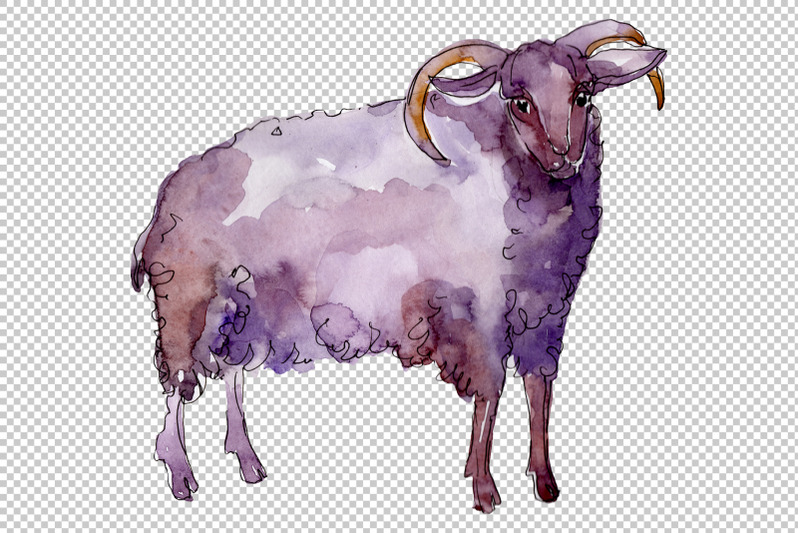 farm-animals-ram-watercolor-png