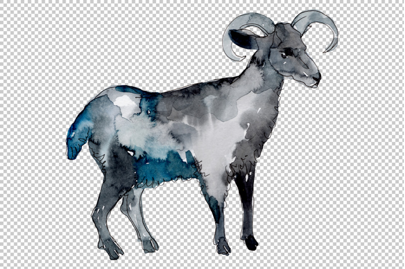 farm-animals-ram-watercolor-png