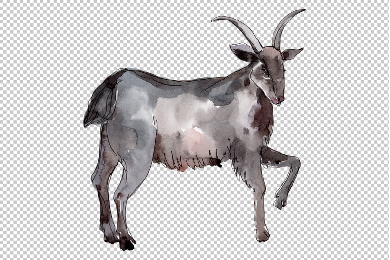 farm-animals-goat-watercolor-png