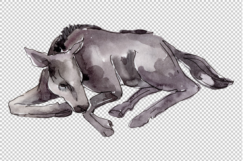 farm-animals-horse-foal-watercolor-png