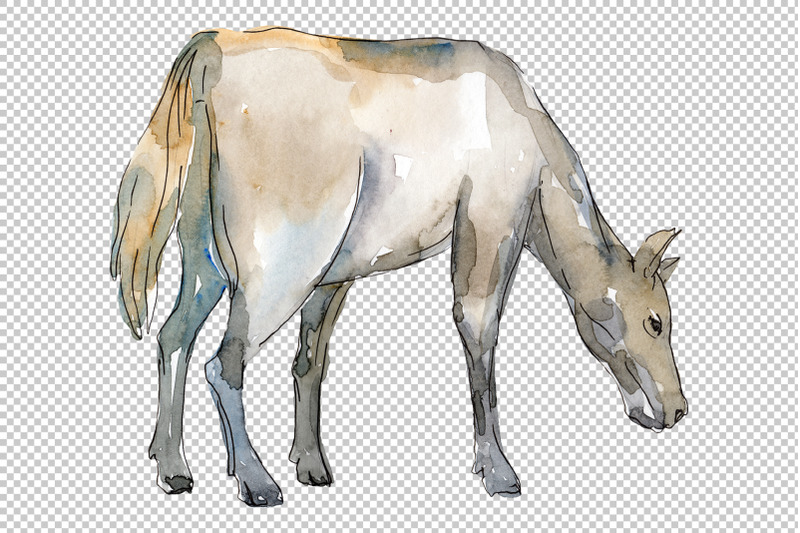 farm-animals-horse-foal-watercolor-png