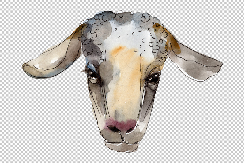 farm-animals-ram-head-watercolor-png